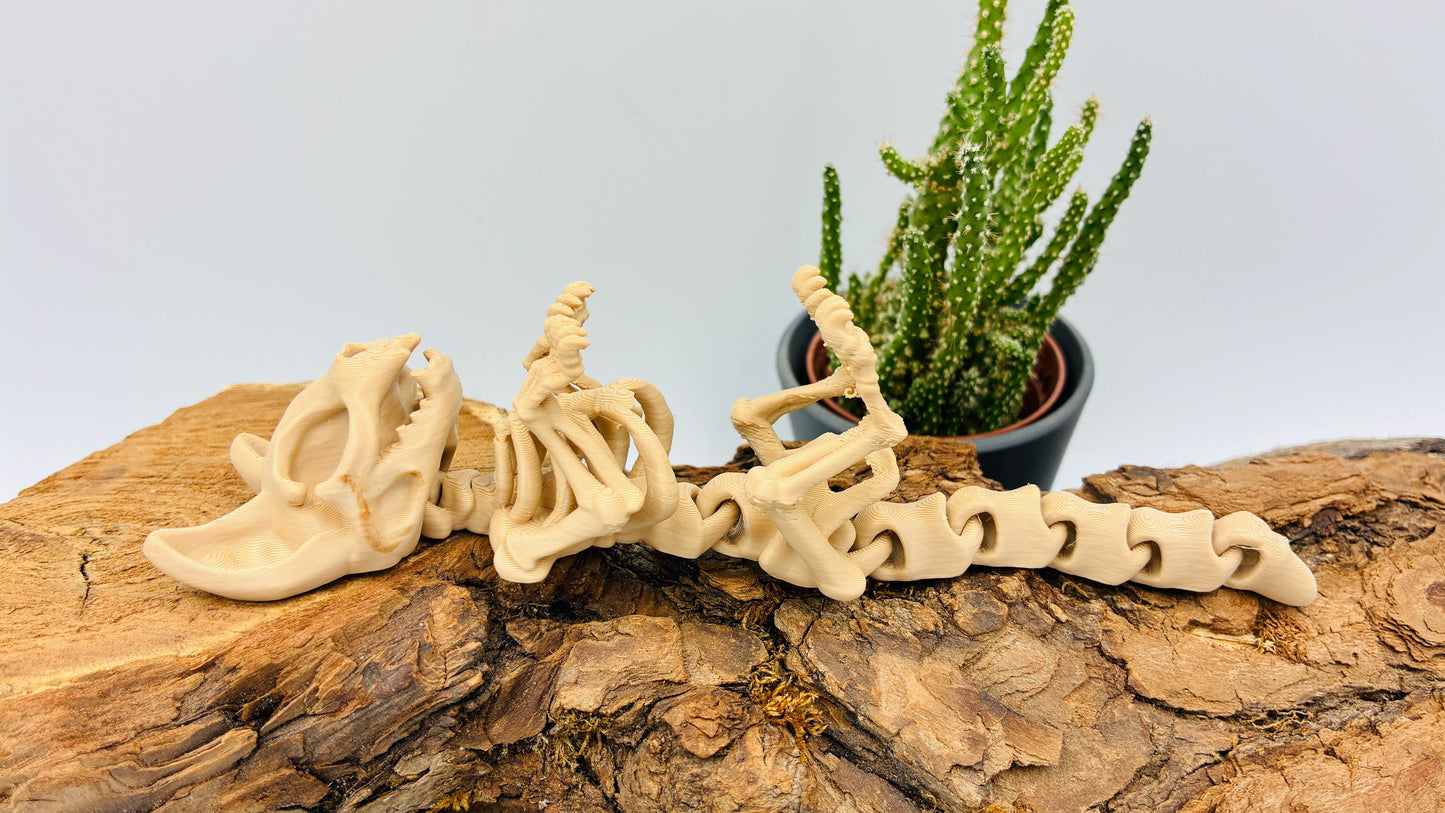 3D-gedrucktes Katzen-Skelett – Dekoration mit Geschichte & Bedeutung