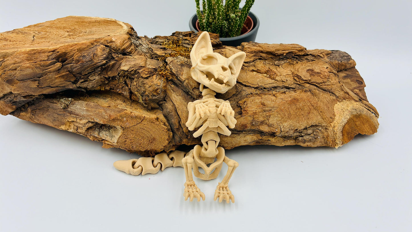 3D-gedrucktes Katzen-Skelett – Dekoration mit Geschichte & Bedeutung