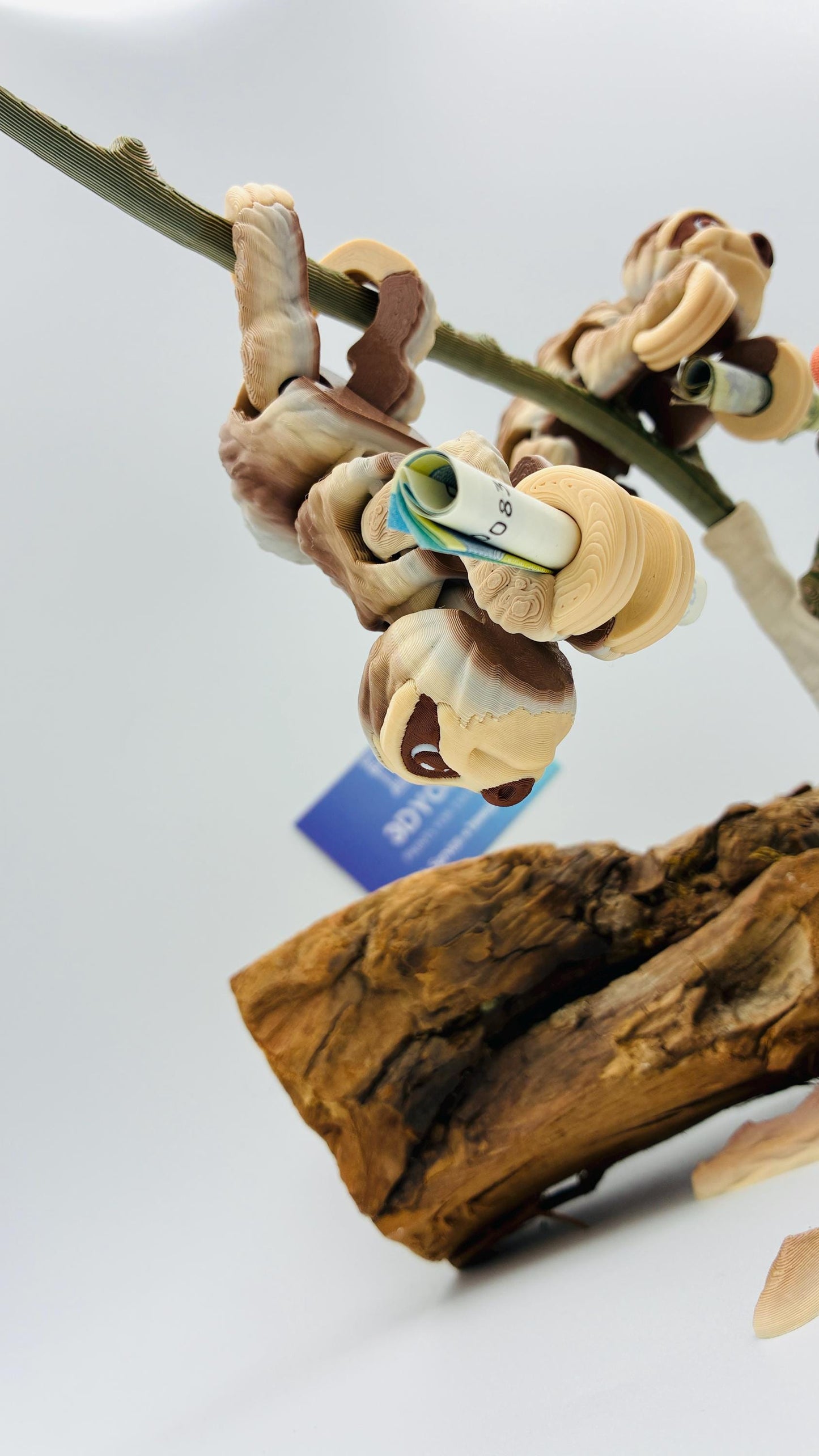 1.) Bewegliches 3D Faultier Geldgeschenk – Originelle Geschenkidee zur Hochzeit, Geburtstag oder Taufe – Optional mit Baum