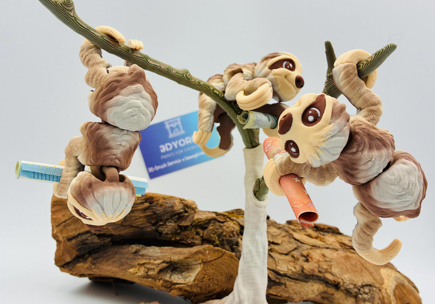 1.) Bewegliches 3D Faultier Geldgeschenk – Originelle Geschenkidee zur Hochzeit, Geburtstag oder Taufe – Optional mit Baum